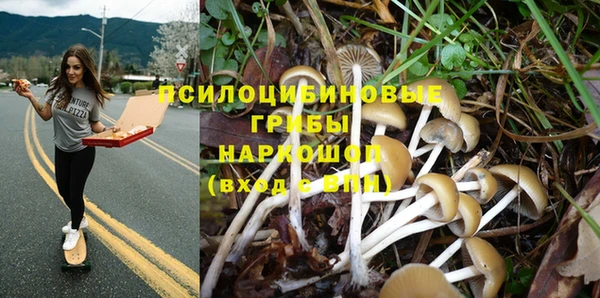 сатива Лиски